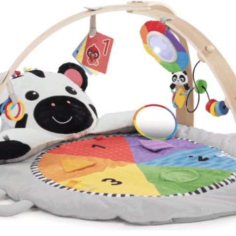 Second Chance – Baby Einstein Spielbogen