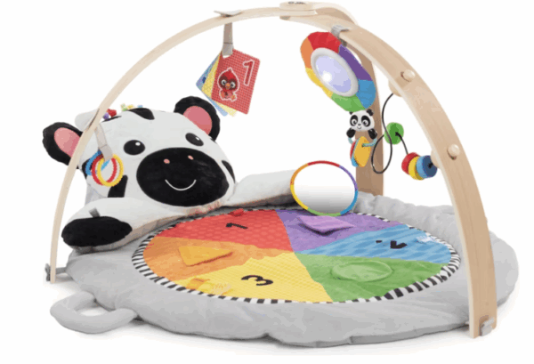 Second Chance – Baby Einstein Spielbogen